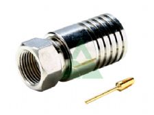 F Male With Attached Ring 